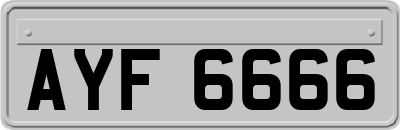 AYF6666