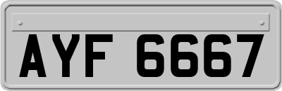 AYF6667