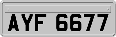 AYF6677