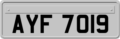 AYF7019