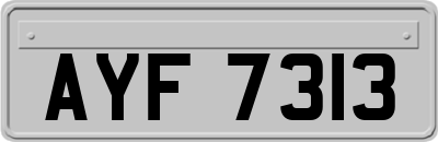 AYF7313
