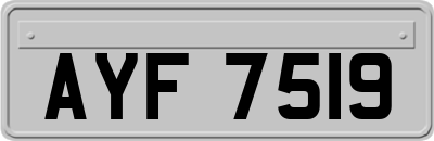 AYF7519