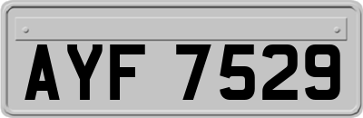 AYF7529
