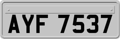 AYF7537
