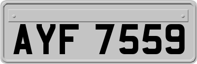 AYF7559