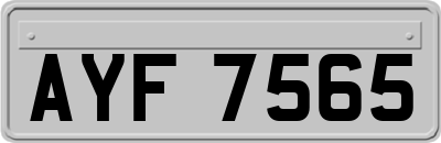 AYF7565