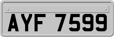 AYF7599