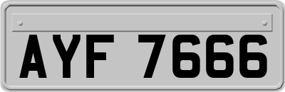 AYF7666