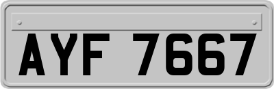 AYF7667