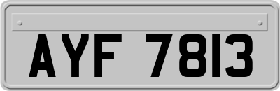 AYF7813