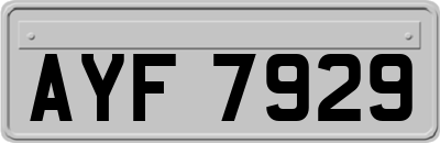 AYF7929