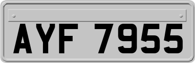 AYF7955