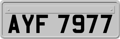 AYF7977