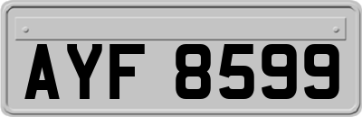 AYF8599