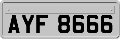 AYF8666