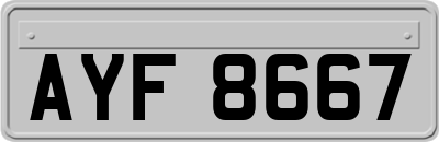 AYF8667