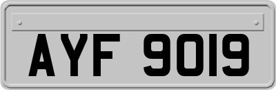AYF9019
