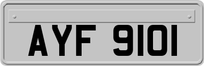 AYF9101