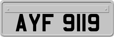 AYF9119