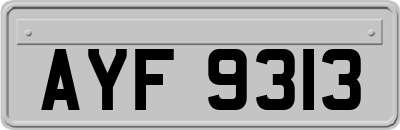 AYF9313