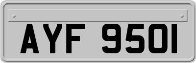 AYF9501