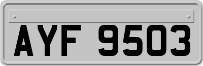 AYF9503