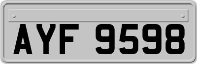 AYF9598