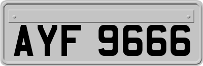 AYF9666