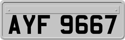 AYF9667