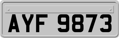 AYF9873