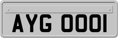 AYG0001