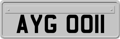 AYG0011