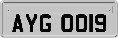 AYG0019