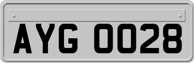 AYG0028