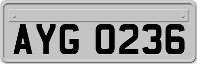 AYG0236