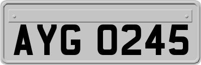 AYG0245