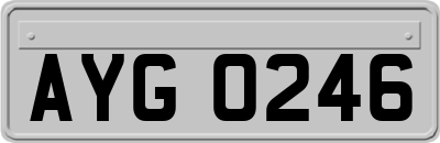 AYG0246