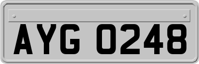 AYG0248