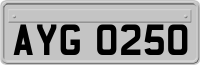 AYG0250