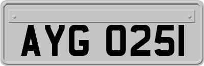 AYG0251