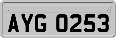 AYG0253