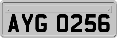 AYG0256