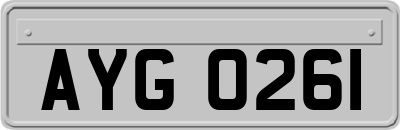 AYG0261
