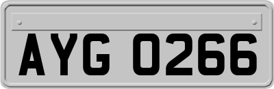 AYG0266