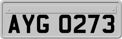 AYG0273