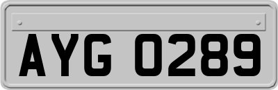 AYG0289