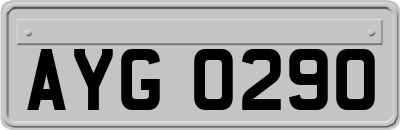 AYG0290