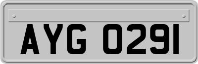 AYG0291
