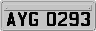 AYG0293