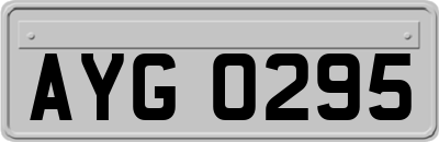 AYG0295